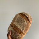 단순 브레드 이미지