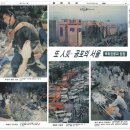 (성수)충혼탑 | 매헌(양재)시민의 숲 1탄