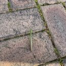 광복 현태권도장 이미지