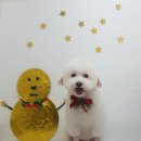 설 grooming 이미지