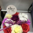 꽃향기폴폴
