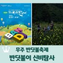 전북 무주 반딧불축제 / 반딧불이 신비탐사 후기