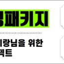 리틀포레짐 이미지