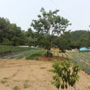 상주공인중개사사무소 이미지