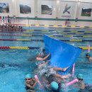 한국체대 석사 태권도장 이미지