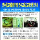 천자문 기초한자 이미지