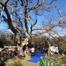 당목마을 당제 이미지