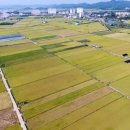 함안군 농업기술센터 이미지