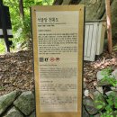 석굴암 천룡도 이미지