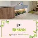 송파 플랜테리어 힐링을 담은 산후조리원 작업 후기