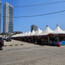 한원호 | 2024 속초 오징어난전 동명항 후기 (기간, 운영시간, 가격, 가게, 주차장, 한원호)