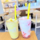 태양커피맥주 | 메가커피 신메뉴 복숭아 퐁당 요거트 스무디 초당옥수수 프라페 와앙 핫치즈스틱 후기!