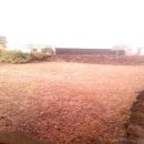 숲펜션민박 이미지