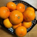 21세기 약국 이미지