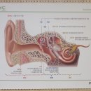 청주중앙포낙 이미지