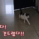 벌집 - 수원시 팔달구 향교로 14 | 벌집