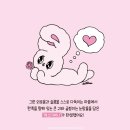 버니 이미지
