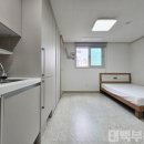 유림세탁 네이버블로그