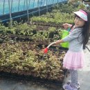 자매농장 이미지