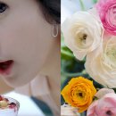 [김태희外] 꽃이랑 매치해본 여자연에인 30명 이미지