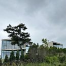 노바운더리 제주 (NO BOUNDARY) / 코요태 빽가의 표선 갤러리 카페 + 표선 대형카페 추천
