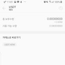 비트코리아 이미지