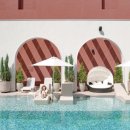 송이 초심정 이미지