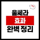 울쎄라 효과 가격 후기