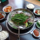 서울사철탕
