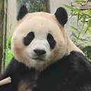 (주)판다미디어