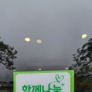 다모아갤러리 이미지