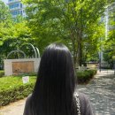 상암동 미용실 추천, 염색 만족했던 준오헤어 상암DMC점 후기