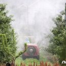 김홍철농장 이미지