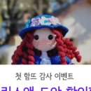 뜨개앤