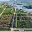 목화자원 이미지