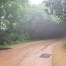 이동 원천항 이미지