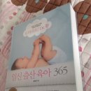 365부분 이미지