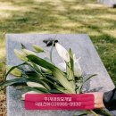 하나장묘개발