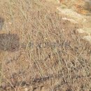 미류네 농장 이미지