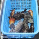 동원수산 수산물센터