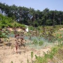 임실농장 이미지