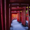 new 구글+SNS+유튜브+최신AI서비스 이미지