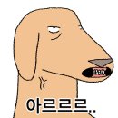 오달샵 이미지