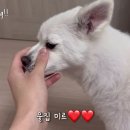 [글로그4]디그니티 루크형과 보낸 알찬 주말❤️❤️ 이미지