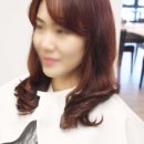 브랜디스트
