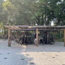 뉴코아아울렛 앞 횡단보도 이미지