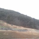 리틀하우스 이미지