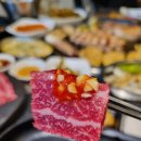 대전 유성에서 가족, 단체로 가기좋은 한돈, 한우 맛집 소개 뒷골목정육식당(feat. 고기동洞)