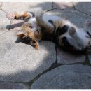 아기누리 이미지