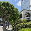 인앤아웃호텔 이미지